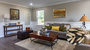 Co?mo encontrar nidos de termitas si aparecio? una en tu casa, ¡no solo aman los muebles!