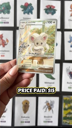 National Pokédex Journey - Cinccino