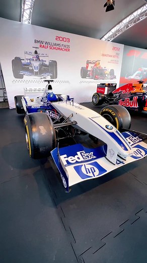 Williams FW25 BMW Ralf Schumacher Formula 1 Classic Car