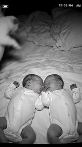 494K views · 12K reactions | Best friends from day one: two tiny humans and their furry guardian.  | I Love Dogs | Facebook