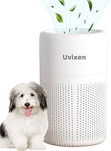 Air Purifiers for Home - Mini Air Purifier with HEPA Air Filter- USB Operated Air Purifier for Bedroom, Car and Living Room- Gift-Ready