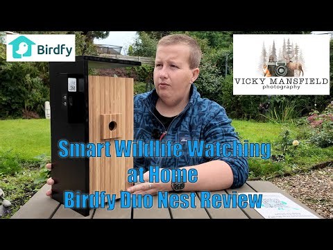 Smart Wildlife Watching at Home | Birdie Duo Nest Review