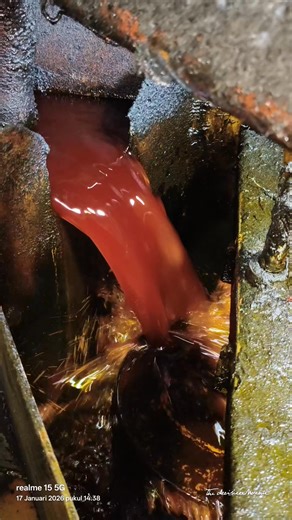 Ini adalah CPO singkatan dari Crude Palm Oil atau Minyak Kelapa Sawit Mentah, yaitu minyak nabati yang diekstrak langsung dari daging buah kelapa sawit (mesocarp) tanpa pemurnian lebih lanjut, berwarna kemerahan karena kandungan beta-karoten tinggi, dan menjadi komoditas penting untuk industri makanan, kosmetik, serta energi terbarukan (biodiesel). Indonesia adalah salah satu produsen CPO terbesar di dunia, menghasilkan minyak ini untuk konsumsi lokal dan ekspor. #fyp #crudepalmoil #kelapasawit 