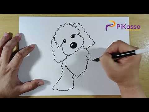 How to Draw a Cockapoo