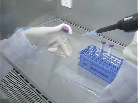 Good Microbiological Practices & Procedures (GMPP) in BSL-2 Laboratory: Demo Bacterial Dilution Row