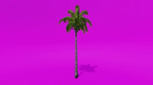 Download Tree Animation Palm Coconut Tree Pink Green Screen Chroma key for free