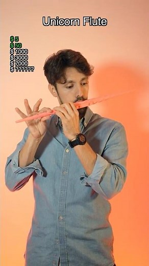 Wind Instrument: cheap vs expensive💰