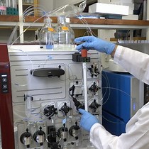 Video: Characterization of Proteins by Size-Exclusion Chromatography Coupled to Multi-Angle Light Scattering SEC-MALS