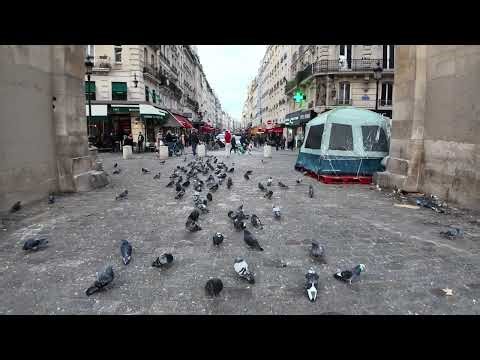 Hidden Street in Paris / Rue Cachée de Paris