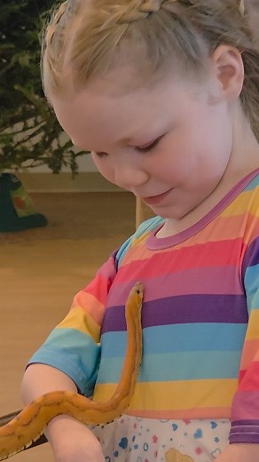 He legit said, "Hi! Nice to meet you, I'm Sam." 🤣🤣🤣 This guy was actually a genetically modified corn snake, bred to have no scales! 🌽 🐍 #snakes #peaches #cornsnake #scalelesscornsnake | Team AMC Ana