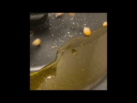 How To Use Elite Gourmet Popcorn Maker