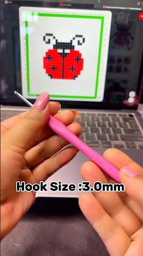 Ladybugs 🐞 crochet