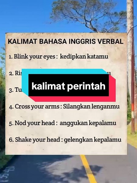 Kalimat Bahasa Inggris Imperatif: Panduan Lengkap