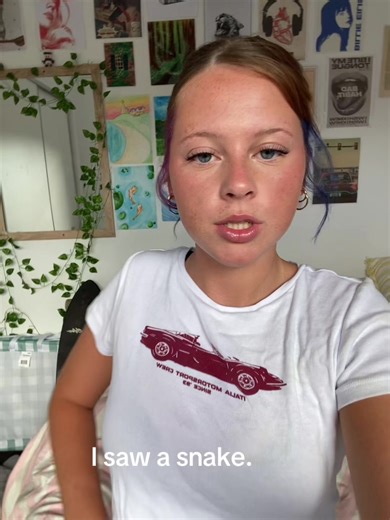 Helo. I python was just chilling #snake #python #makeitgoviral #foryou | python snake