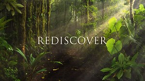 Rediscover hair care worthy of you, with Spa Ceylon’s newest hair care ranges ✨ 6 ranges formulated with the powerful science of Ayurveda to solve your everyday hair concerns! 🍃🤩 Head to the nearest Spa Ceylon or shop online to get your hair routine today! 💚 #spaceylon | Spa Ceylon Ayurveda Wellness