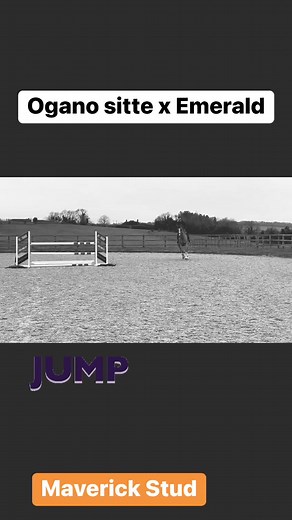 Sarah Randall on Reels