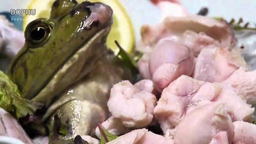 30 种全球最稀奇古怪的食物