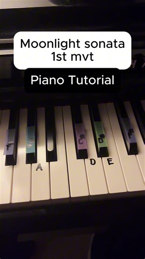 Moonlight Sonata 1st Mvt. Piano Tutorial #piano #pianotutorial #fyp