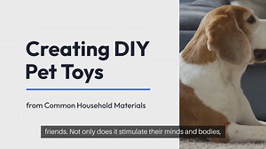 DIY Pet Toys from Home Materials
