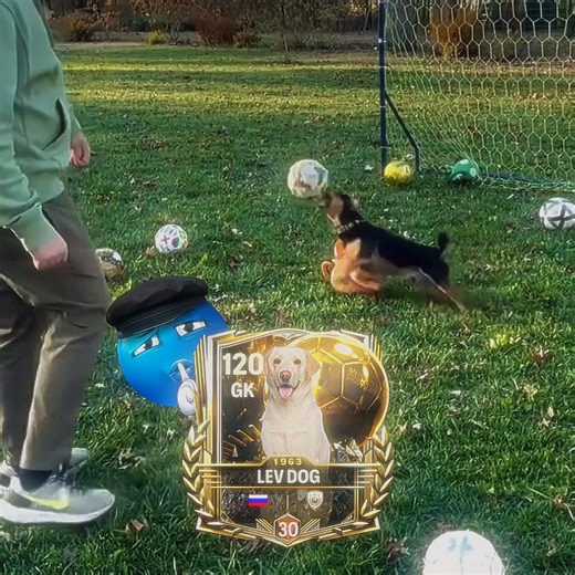 Lev Dog Skills ☠️😱 PT. 2