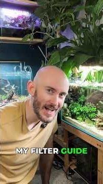 This is why my nano tank looks intentional not overgrown #aquarium #plantcare #nanoscape