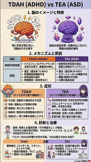 発達障害の「生きづらさ」を紐解くADHDとASDの比較ガイド｜脳内で何が起きている？原因から最新の治療法まで