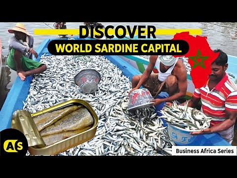 The world’s largest sardine producers - Morocco