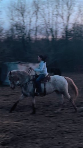 Improving Horse Riding Skills for Barrel Racing Success