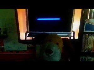 Closing To Little Bear: Campfire Tales 2002 VHS