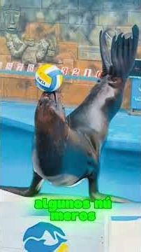 #facts#didyouknow#interestingfacts#shorts#ytshorts#knowledge#learnsomethingnew#shorts#fyp