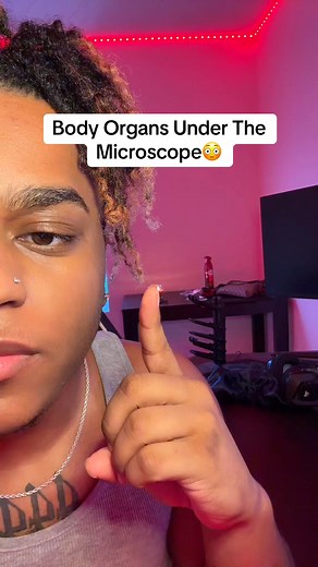 467K views · 8.3K reactions | Body Organs Under The Microscope #reels | Damarri Rogers | Facebook