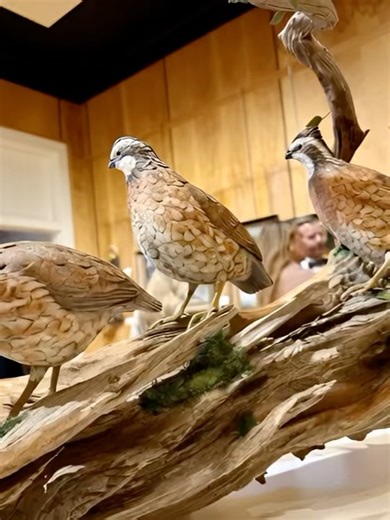 Chris Wilson - Wilson Wildlife Sculpture on Reels