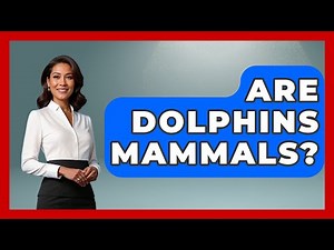 Are Dolphins Mammals? - The Marine Life Explorer