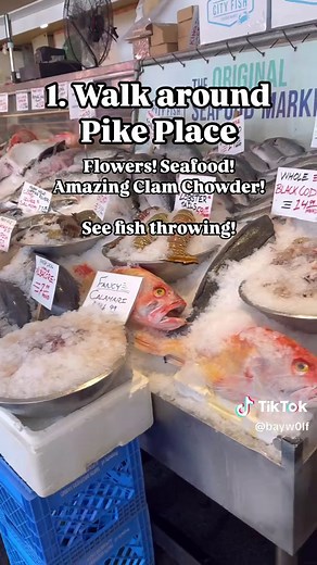 10 Essential Activities for Your First Visit to Seattle