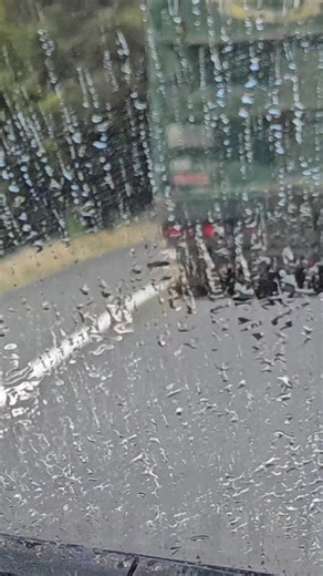 312K views · 345 reactions |  When life gives you lemons... or, uh, vegan juice 濫. On the face, on the nose—no hard feelings, but damn, you stink! 藍 #dhub24 #northlandtruckers | DriveHub Northland | Facebook