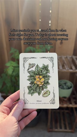 Daily Oracle card. #cardoftheday #oraclecard