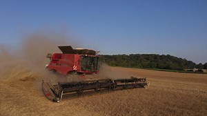 Sweet, sweet satisfaction! The FD1 FlexDraper® never lets you down. 💪#FlexDraperFriday See it in action: http://bit.ly/D1FD1Header | MacDon Industries Ltd.