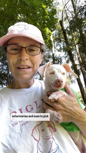 2.7K reactions · 100 comments | PSA from Piglet's veterinarian mom....