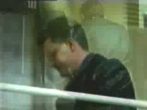 Cats in The Cradle Northern Ireland add