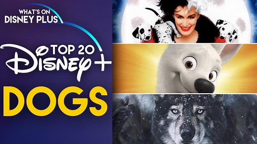 Top 20 "Dog" Movies & Shows Available On Disney  - What's On Disney Plus