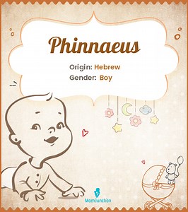 Phinnaeus Name Meaning, Origin, History, And Popularity
