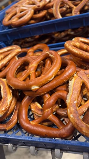 THE MONSTERS ARE BACK! 🥨 Philip is live on QVC today with our 8-count Monster Box (10-oz each!) for just $27.98 Catch the show: • 4:25 PM (QVC Main) • 9:15 PM (QVC2) Tune in or click the link in the comments to stock up before they are gone! 🛒✨ @qvc @albertipopaj @rachelboesingqvc @davidvenableqvc #qvc #pretzels #onsale | The Pretzel Company