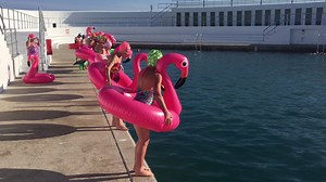 Penzance this evening was simply glorious. Over a few long hours as the sun dipped slowly over Mount's Bay, sightseers strolled along The Prom as a beautiful flock of pink Flamingos landed on Jubilee Pool.... Well, it was Tuesday late opening and our brilliant Battery Belles were being chased by two crocodiles and a shark. Welcome to Penzance, welcome to the wonderful Jubilee Pool- how lucky we are to live here! | Jubilee Pool