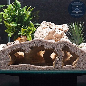 Aquarium Terrarium 3d Print Cave - Catacombs Decor, Fish, Shrimp and Reptile Hide, Durable and Aesthetic Tank Centerpiece - Etsy Canada