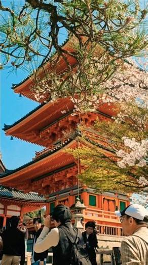 京都で絶対行くべき場所！ #日本旅行 #京都旅行 | Must visit in Kyoto: Kiyomizu-dera ⛩️ #京都 #清水寺 #japantravel #japan
