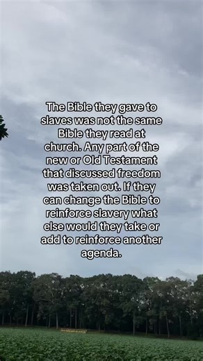 Ruby Dee (@lsaiah.brooks)’s videos with SCUBA JUKE(IT STANKKK) - H5wk