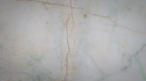 Tractor Supply Store Hours: What Time Does It Open and Close