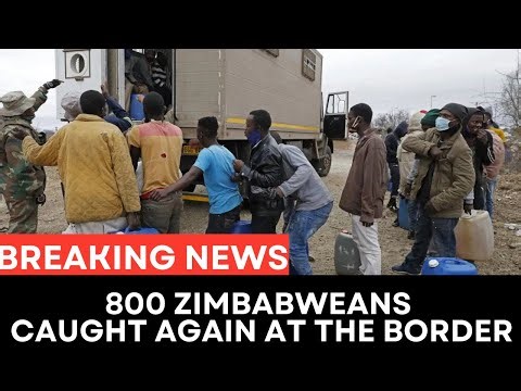 800 Zimbabweans Caught Again at the Border as Soldiers Shut Down a Massive Illegal Crossing
