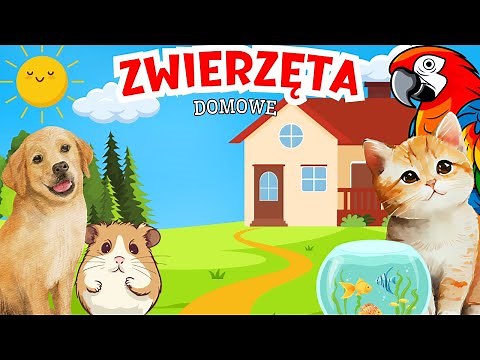Zwierzęta domowe dla dzieci - bajka edukacyjna dla dzieci o zwierzętach domowych po polsku
