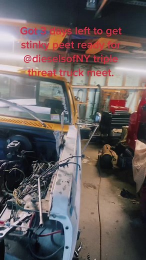 Anthony Cooke (@anthonycooke27)’s videos with The Business (Remix) - Paul Carlos